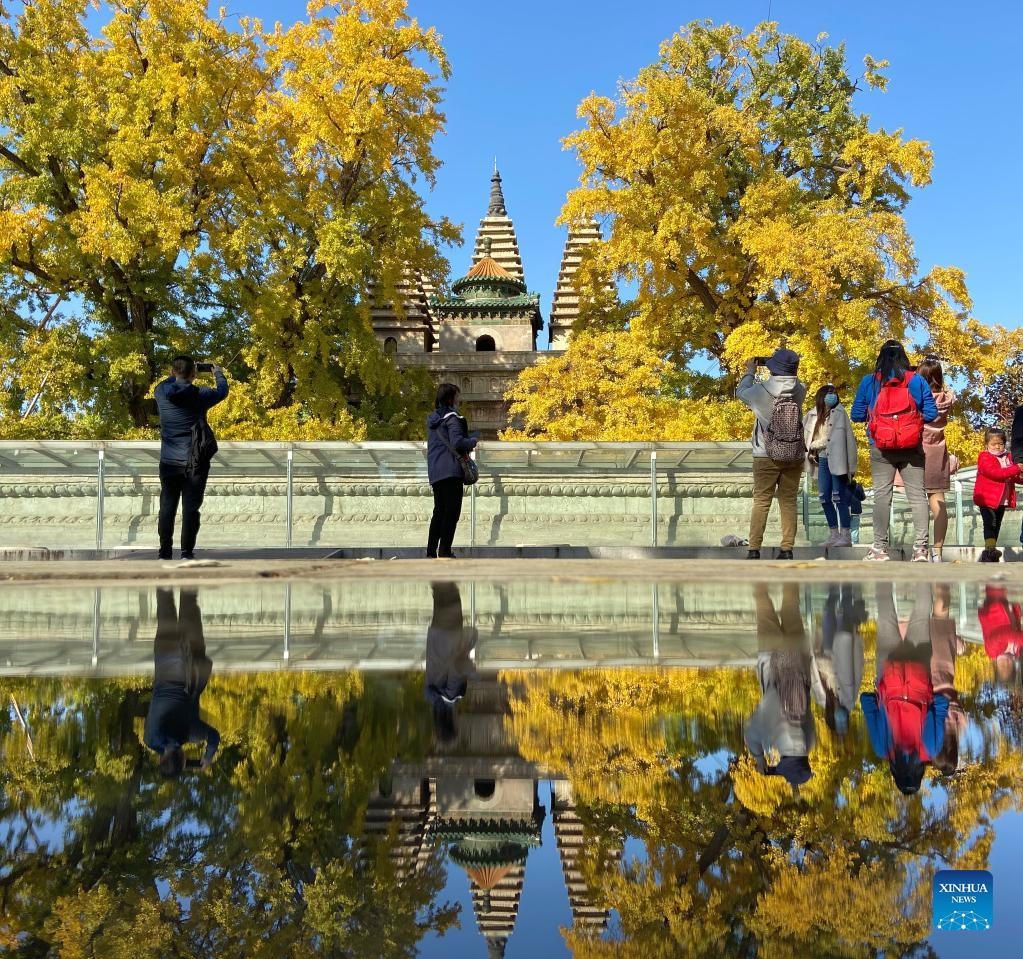 Bức tranh 'mùa thu vàng' trên khắp Trung Quốc
